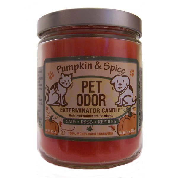 Pet Odor Exterminator 13oz Jar Candle - Pumpkin Spice (Limited Edition)